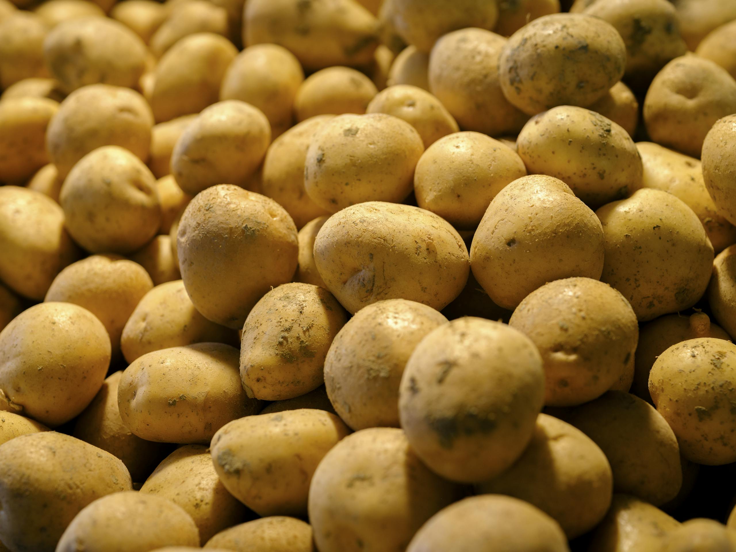 Our Produce - We grow processing-grade potatoes for UK supply chains.