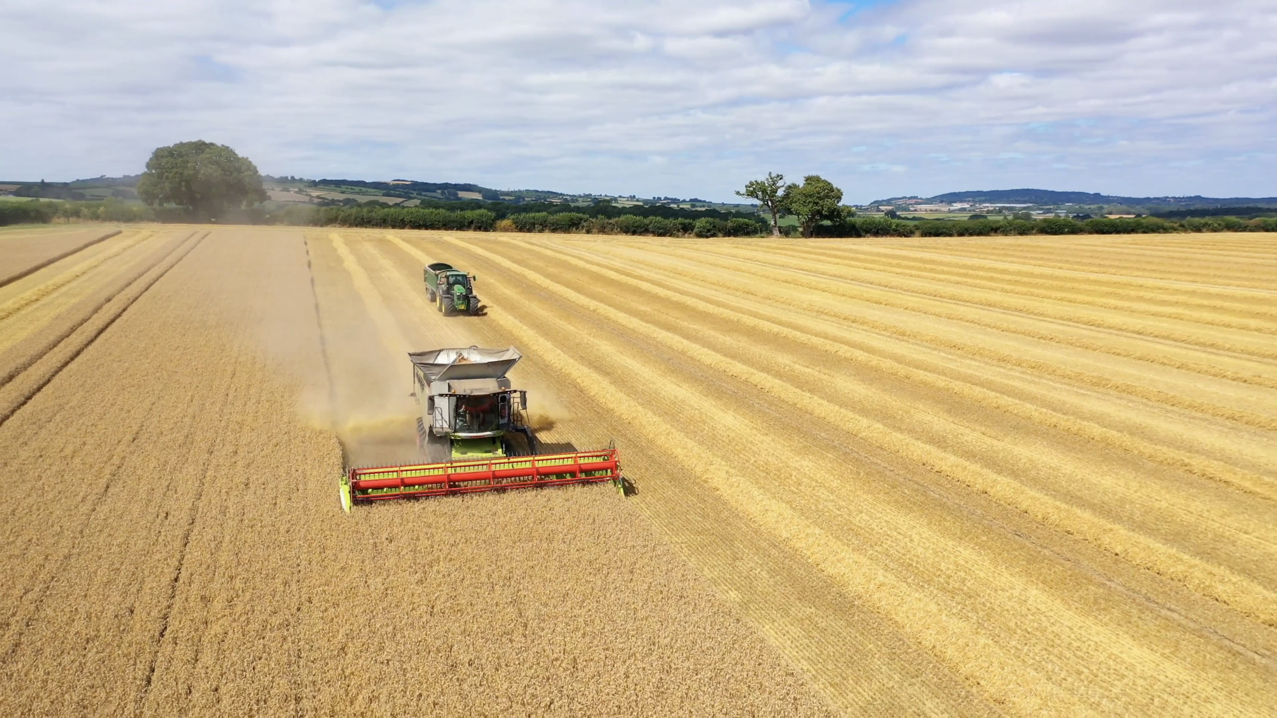 British wheat supplier British wheat supplier, Herefordshire UK