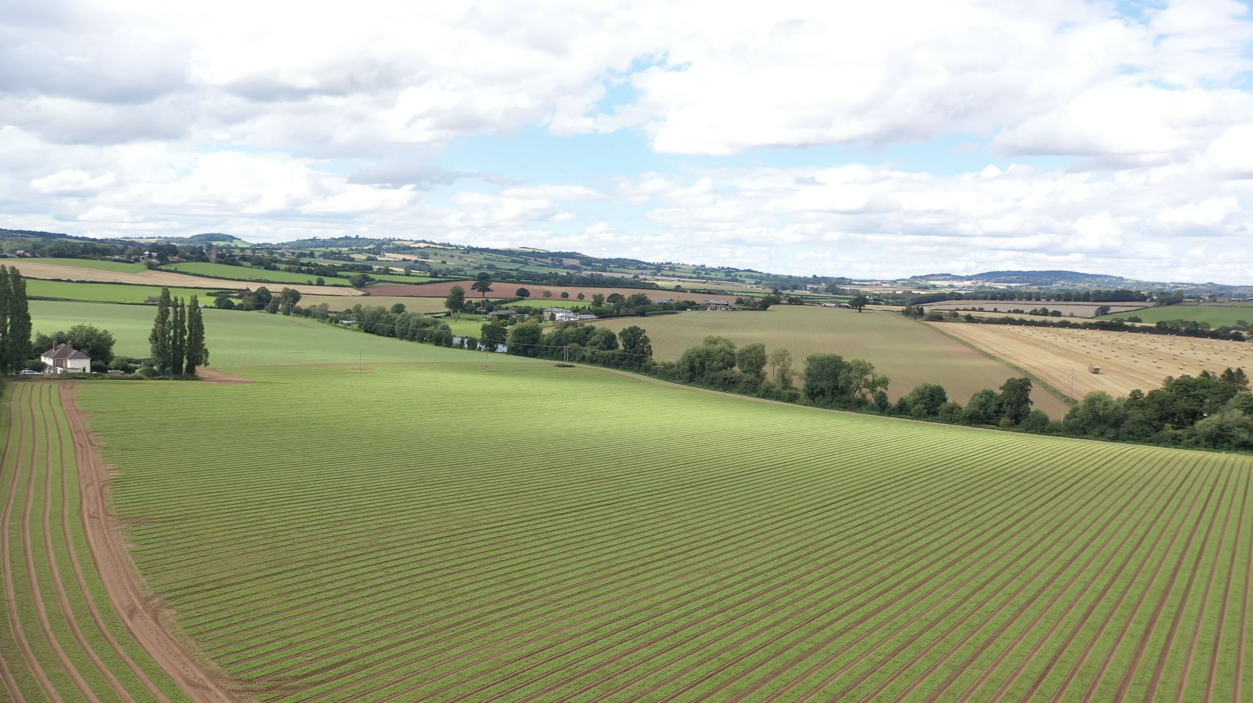 UK Grown Barley UK Grown Barley - Using barley to boost structure, timing, and biodiversity.