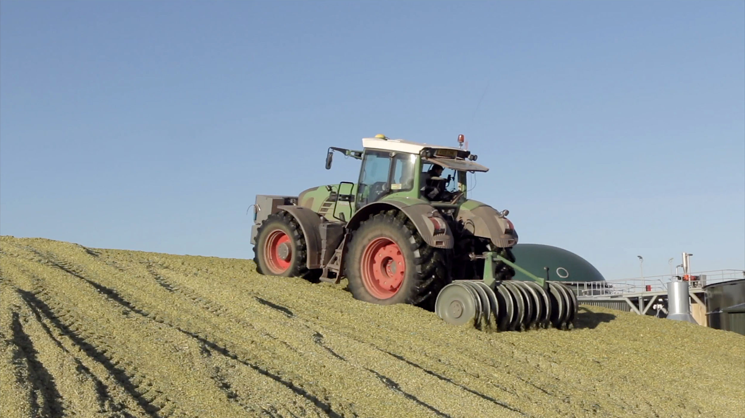 Maize allows us to extend field productivity while supporting soil biology with structured residue and post-harvest covers.