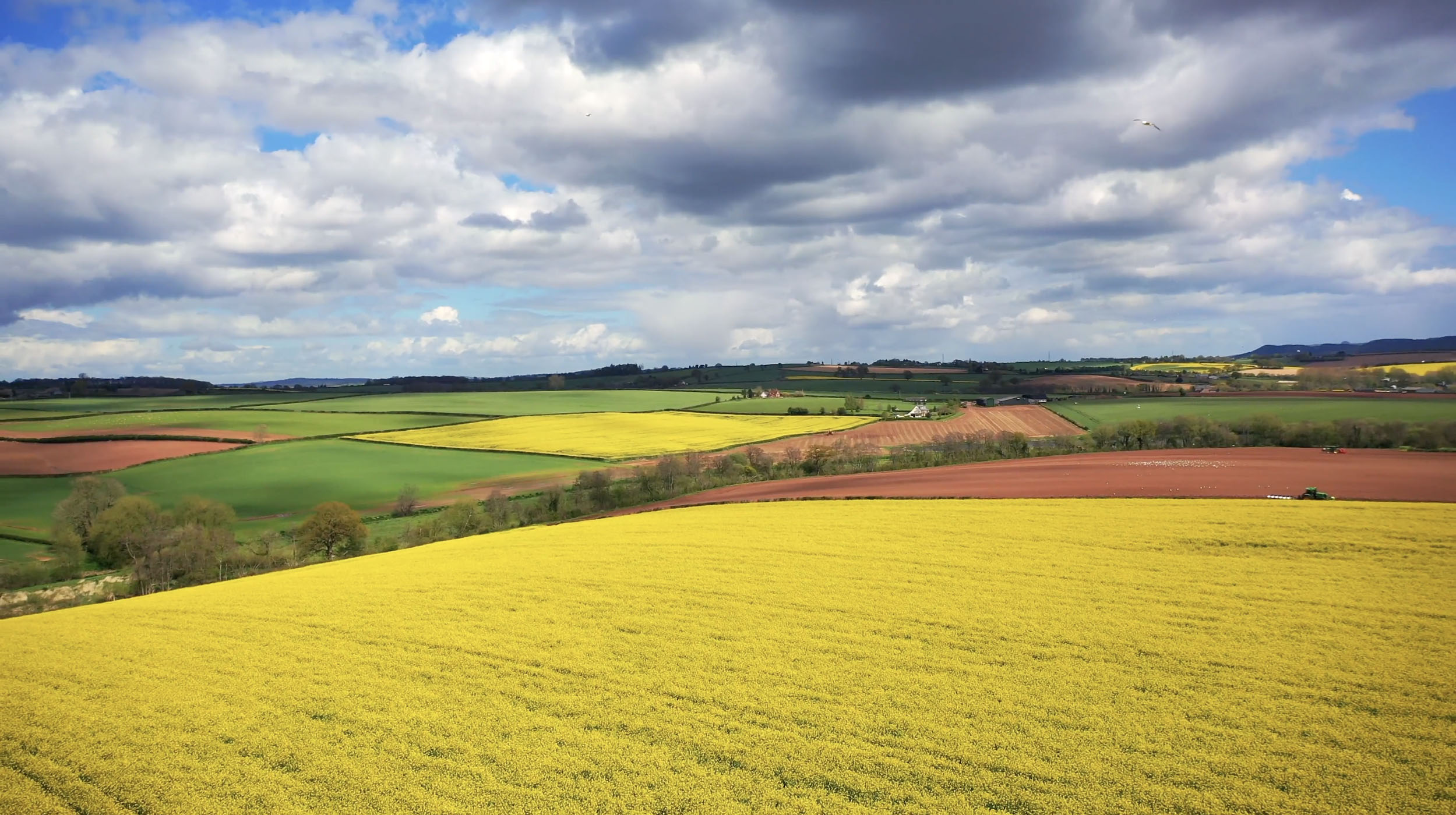 British-grown Oilseed Rape for supply chain Grown across our fields in Herefordshire, our oilseed rape is chosen and managed for both agronomic benefit and market performance.
